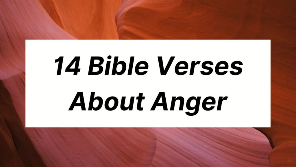 10 Things You Better Know Before Building a Tiny Home 14 14 Bible Verses About Anger
