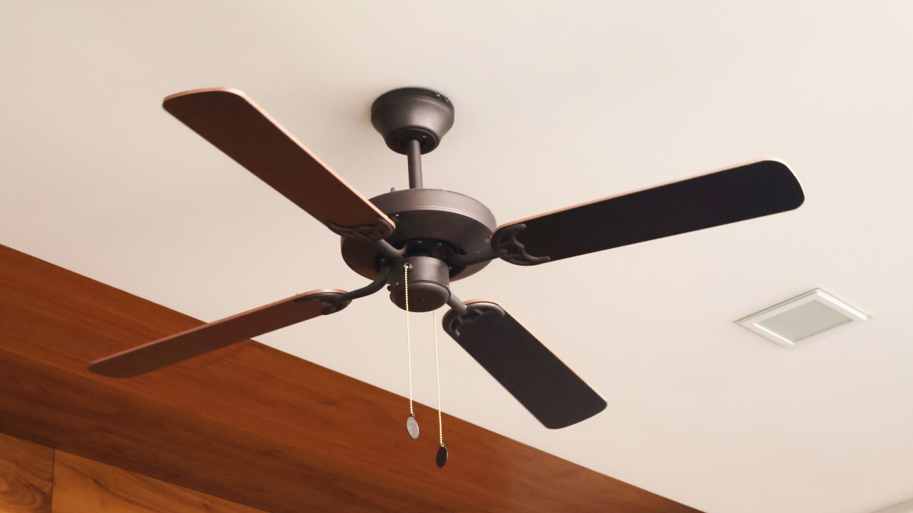 Ceiling Fan