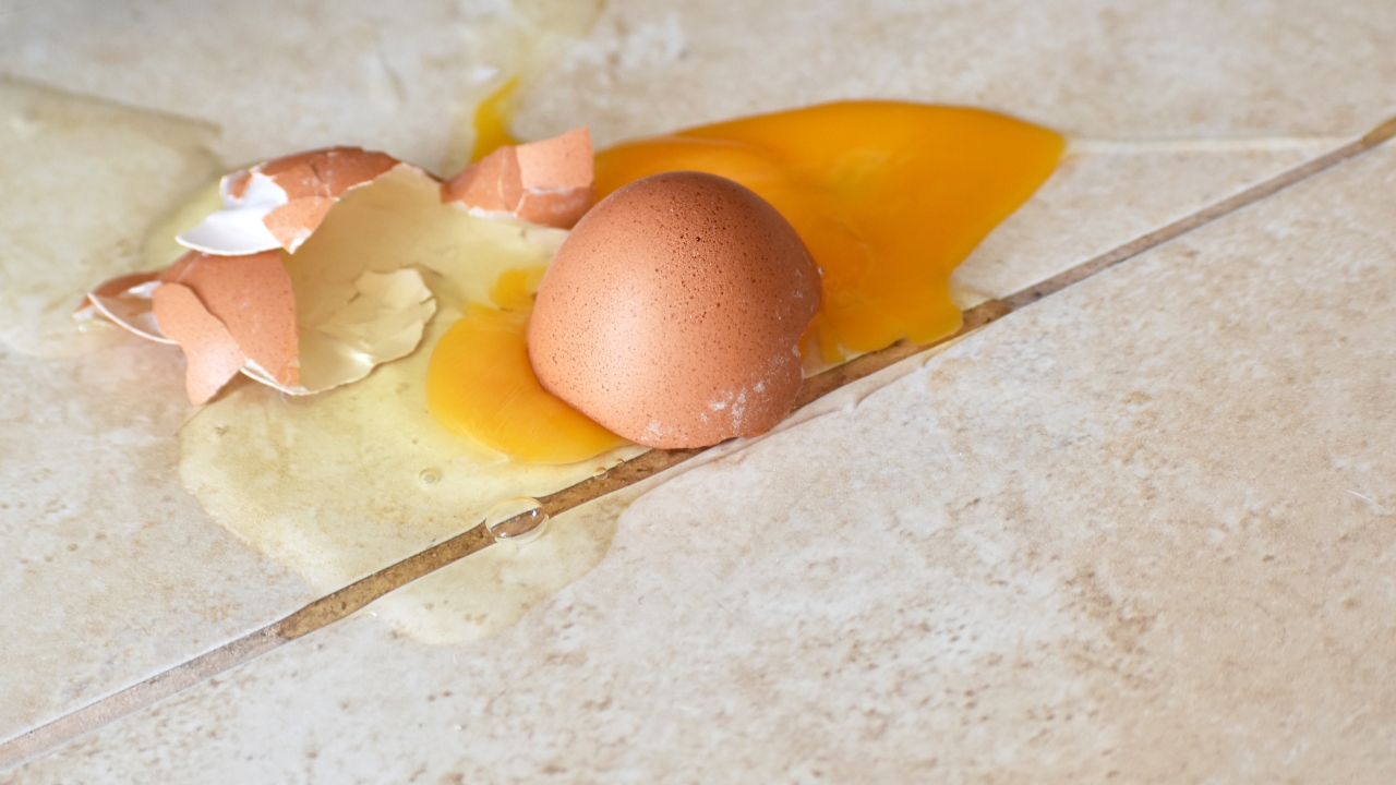 Dropped Egg