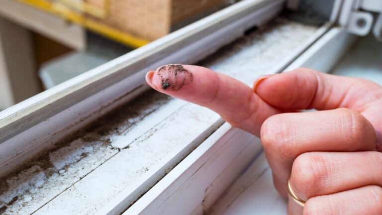 Is Your House Making You Sick? 10 Fixes You Can’t Ignore