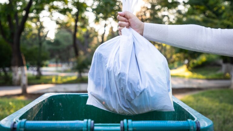 12 Things You Tossed In the Trash That You Really Shouldn’t Have