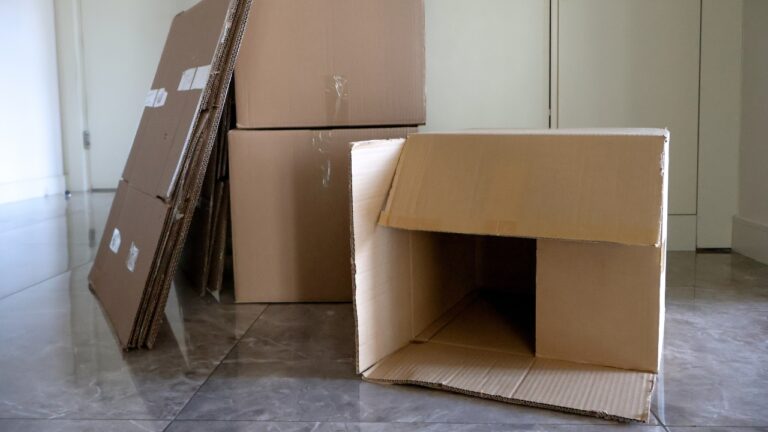 10 Things You Should Never Store In Cardboard Boxes