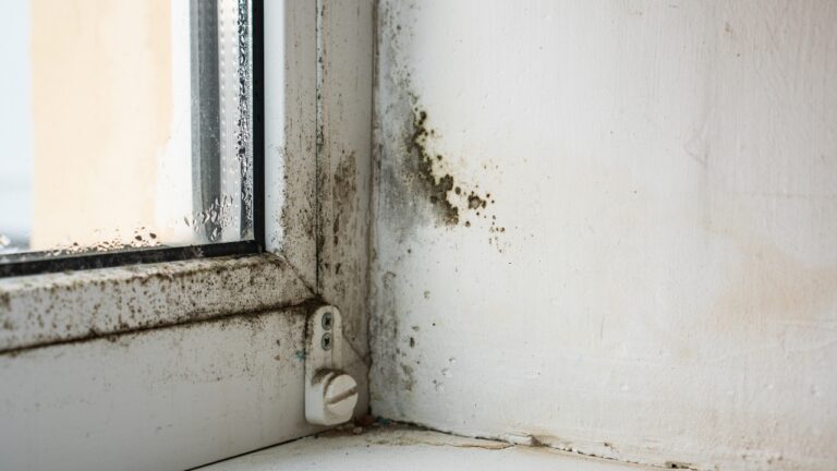 10 Ways You’re Inviting Mold Into Your Home This Winter