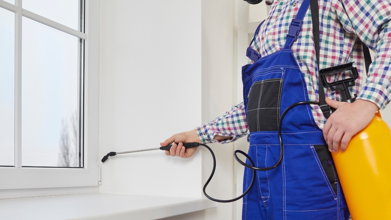 10 Smart Ways You Should Be Using Castile Soap 5 spraying pest control on window