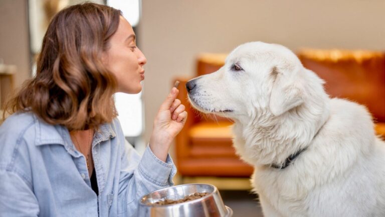 Woman says she spent a year feeding her roommate’s dog whenever she went out — and then found out the roommate was “jealous” of the bond