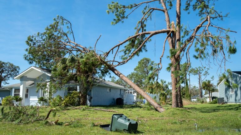 Man says his father left him the family house — then a fallen tree exposed so much hidden damage that he gave his mother and stepdad 60 days to get out