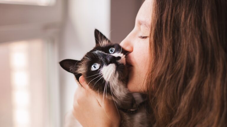 Woman says her cousin stole her cat, posted photos kissing her on Instagram, and then got the whole family involved — but after a second theft, a police visit, and a rushed court fight, she finally got her back