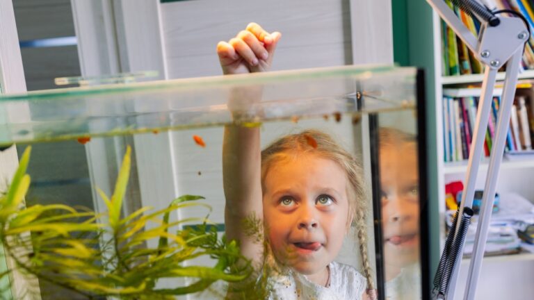 Coworker’s Daughter Kills Her Fish — Then the Mom Acts Like Babysitting Should Continue Anyway