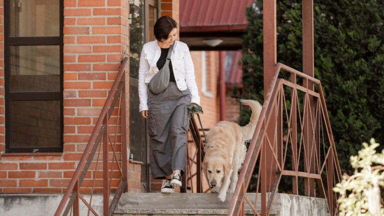 Boyfriend’s Ex Broke Into His House, Stole His Dog, and Vandalized the Home — Then Still Wouldn’t Leave Them Alone
