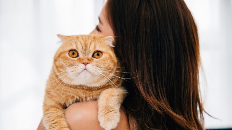 Roommate’s Friend Took a Special-Needs Cat From the Bedroom — Then the Owner Had to Track Down Where She Was Taken